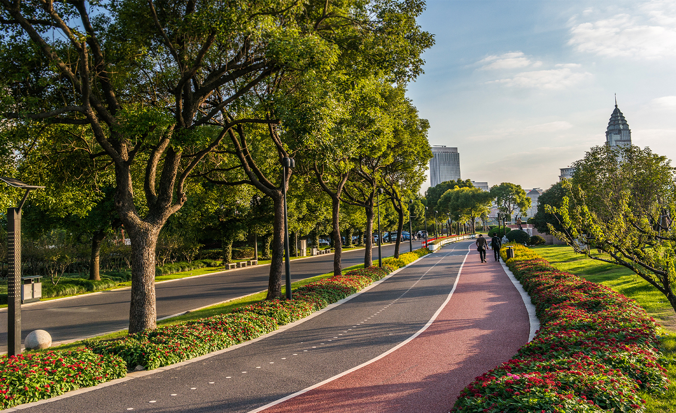 上海的一條自行車道與步道，沿路種滿樹木。